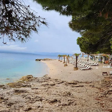 Apartament Among Pines And