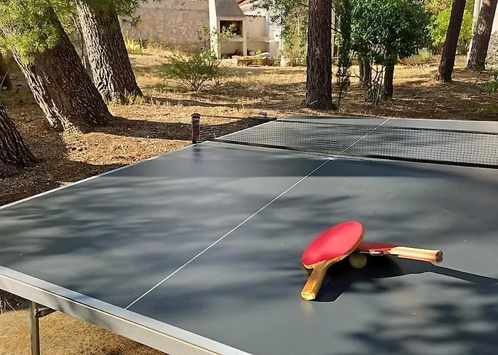 아파트 Among Pines And *