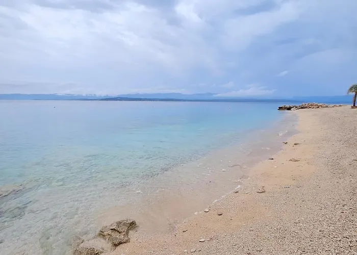 Among Pines And 아파트 *