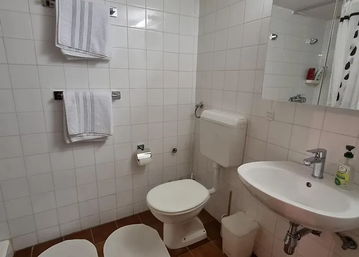 Among Pines And 아파트 *