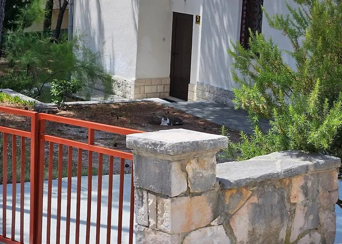 Among Pines And * 볼