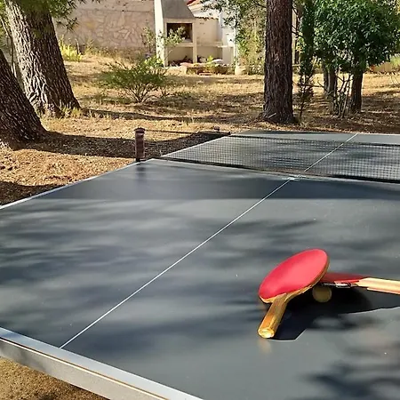 Apartamento Among Pines And *