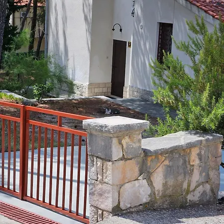 Among Pines And * Bol